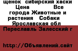 щенок  сибирский хаски › Цена ­ 12 000 - Все города Животные и растения » Собаки   . Ярославская обл.,Переславль-Залесский г.